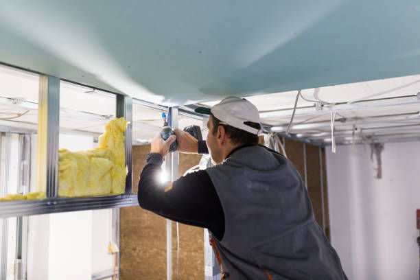 Best Insulation Maintenance and Repair in Oak View, CA