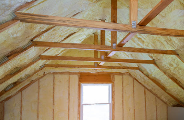 Best Commercial Insulation in Oak View, CA