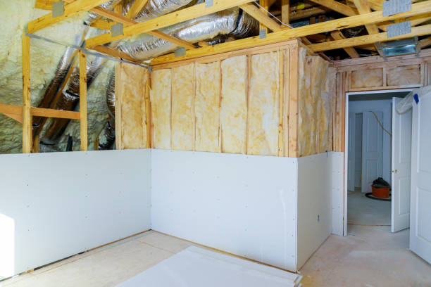 Professional Insulation Contractor in Oak View, CA