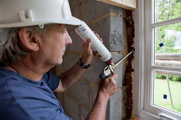 Best Insulation for Specific Applications in Oak View, CA