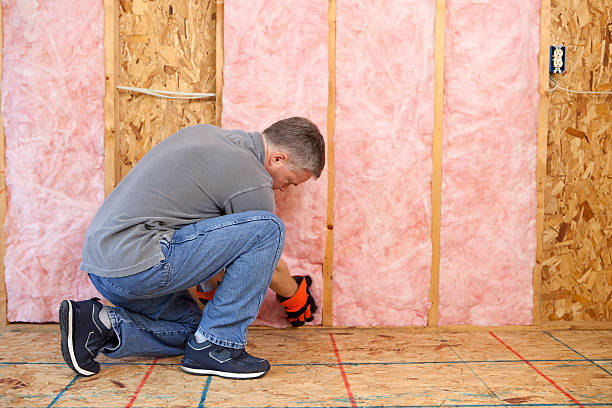Best Specialized Insulation Services in Oak View, CA